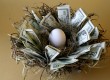 Nest egg