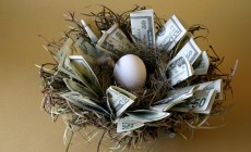 Nest egg