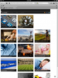 Lifed.com on the iPad
