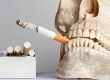 Human skull with cigarettes