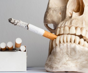 Human skull with cigarettes