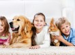 Children with animals lying down on the carpet