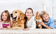 Children with animals lying down on the carpet