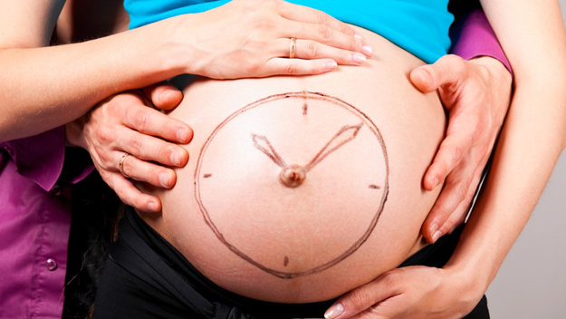 Being Pregnant/Giving Birth Pregnant couple