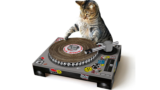 DJ Cat Scratch Turntable