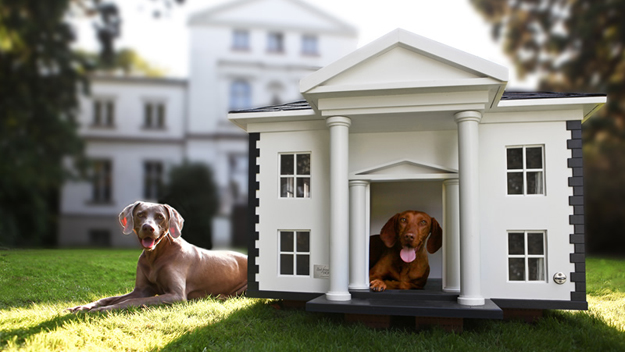 Dog Mansions