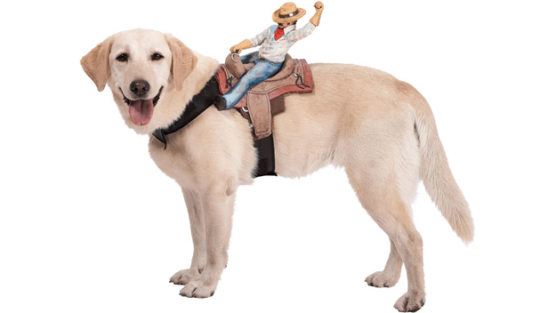 Dog Rider Pet Costumes