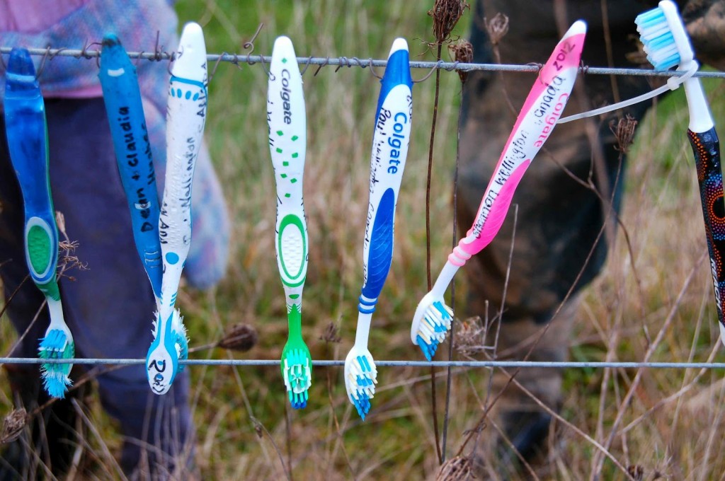 The Toothbrush Fence (Te Pahu, New Zealand)