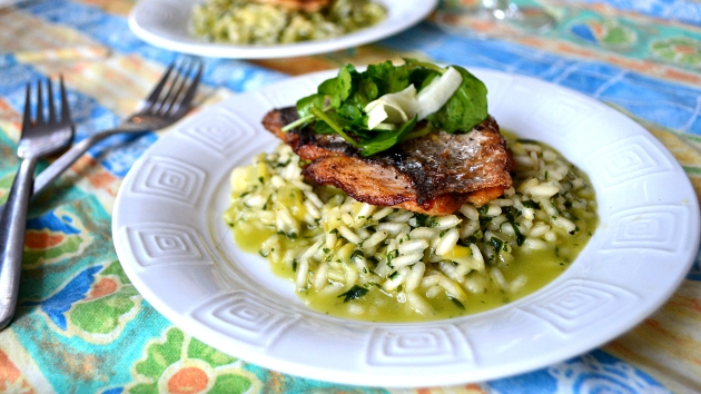 11 - Ramp and Wild Garlic Risotto with Bream, Fennel