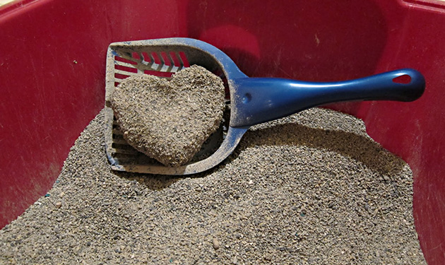 cat_litter_heart