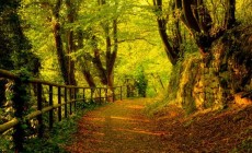 autumn