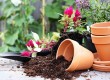 flower-pots