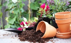 flower-pots