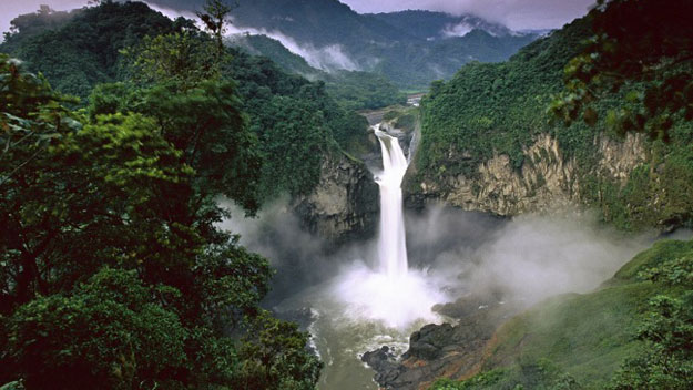 Amazon Rainforest