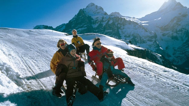 Family on toboggan run