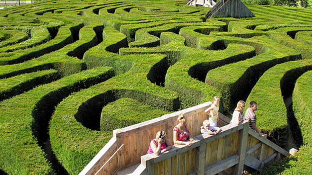 Family walking through Longleat Hedge Maze