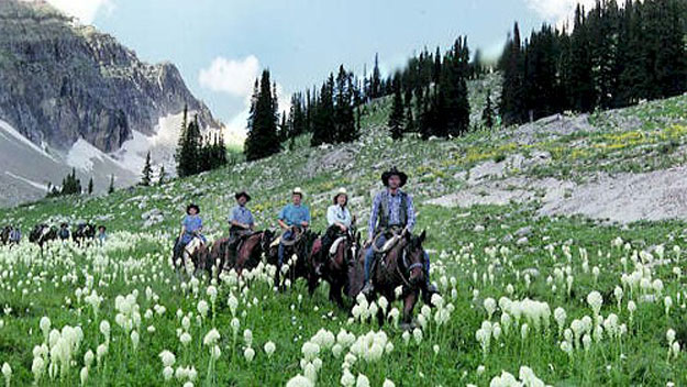 Horseback riding through Swan Valley