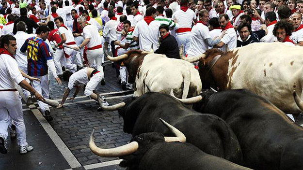 Thrill-seekers running from bulls