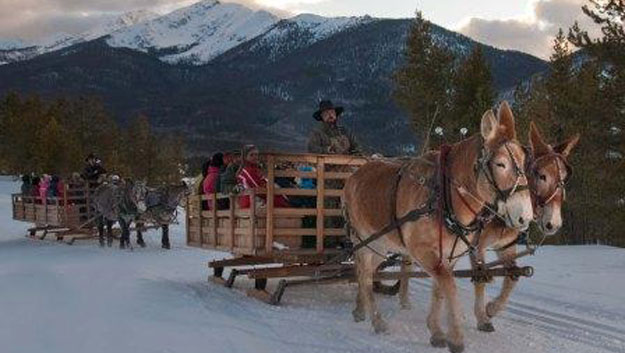 Two Below Zero dinner sleigh ride