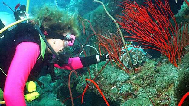 Woman on SS Yongala dive