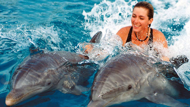 Woman swimming with dolphins