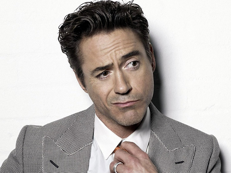 Robert Downey Jr Picture