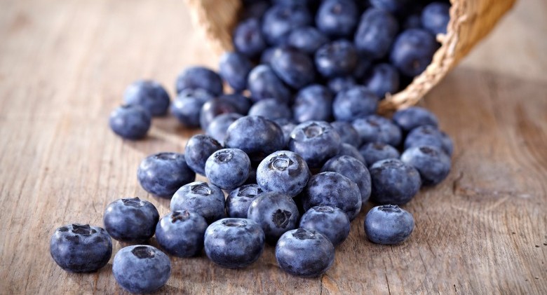 Basket-of-blueberries (1)