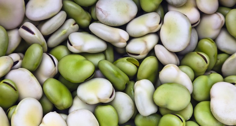 Lima-beans