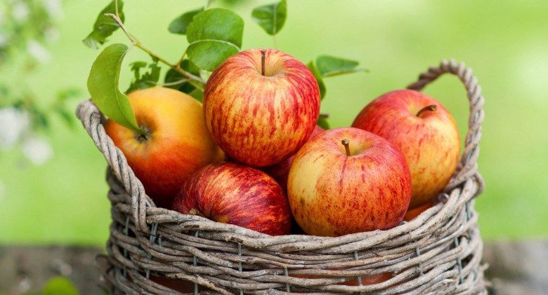 basket-of-apples-13485
