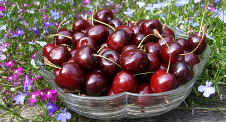 cherry-bowl (1)