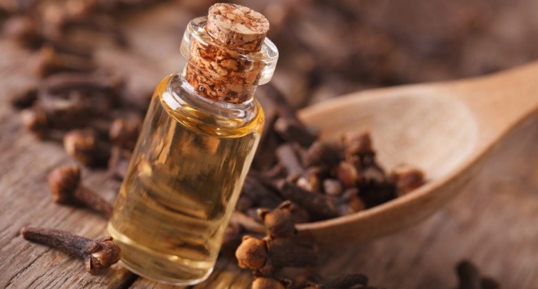 Clove oil in a bottle close-up on the table. horizontal, rustic style