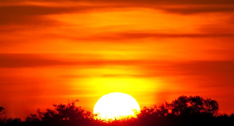 sunset-in-africa-wallpaper-1