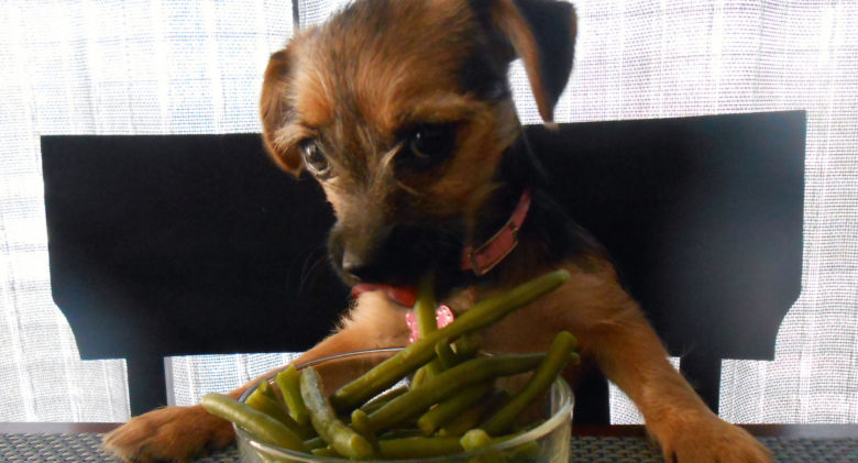 green-beans-1-1