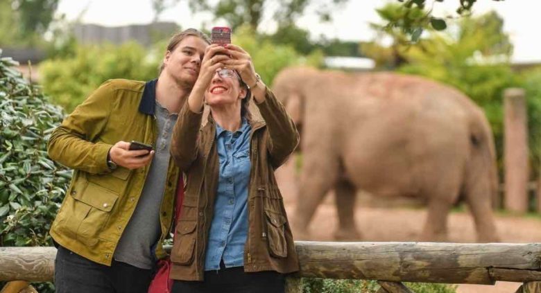 Chester-Zoo-couple-taking-selfie-with-elephant-f-1068x711