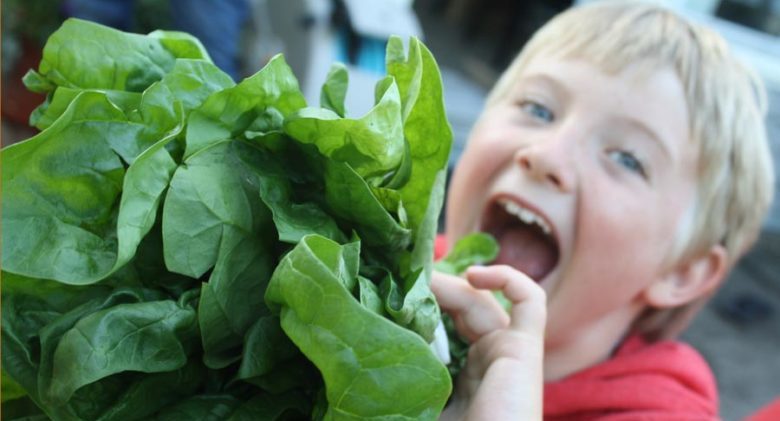 kaiden-spinach-cropped