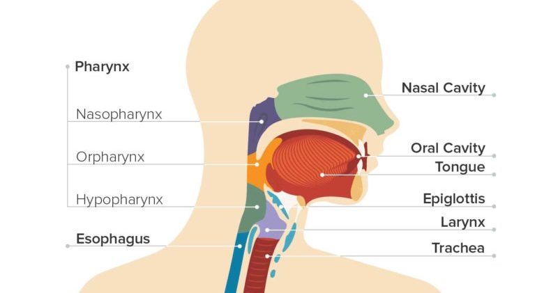 throat_cancer-07