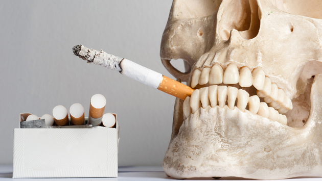 Human skull with cigarettes