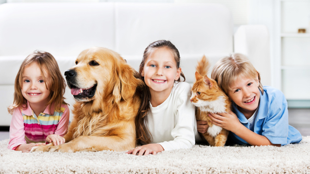 Children with animals lying down on the carpet