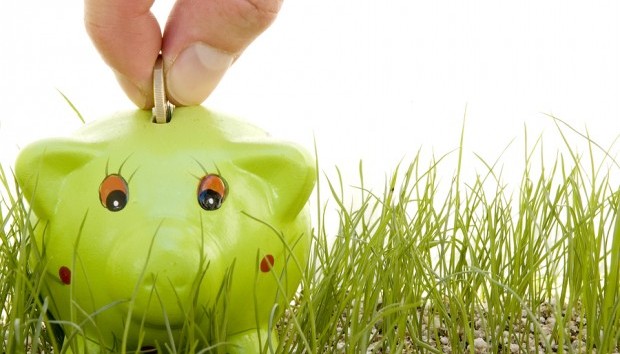 green piggy bank